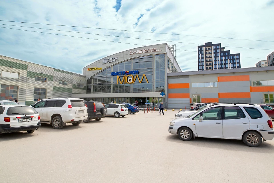 Яркие представители